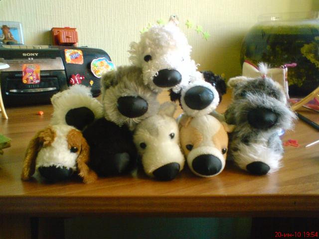 The Dog Collection 2010 - График Выхода и обсуждение