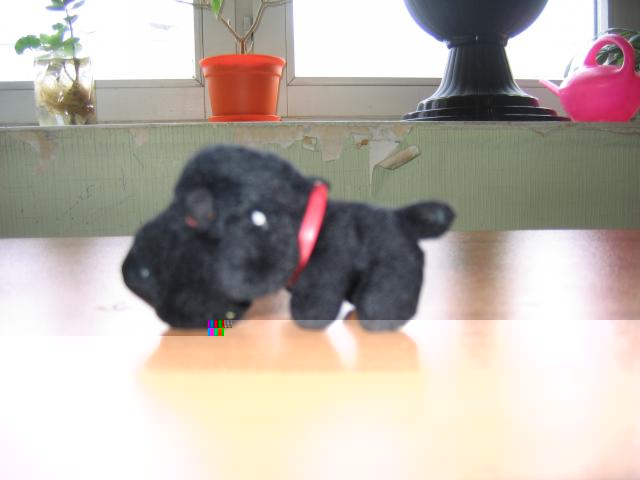 The Dog Collection 2010 - График Выхода и обсуждение
