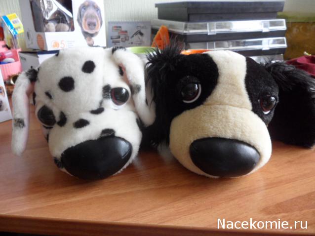 The Dog Collection 2010 - График Выхода и обсуждение