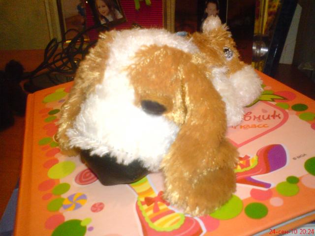 The Dog Collection 2010 - График Выхода и обсуждение