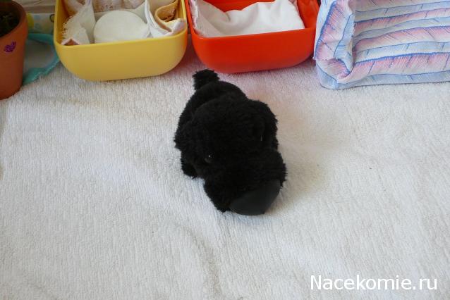 The Dog Collection 2010 - График Выхода и обсуждение