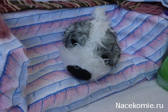 The Dog Collection 2010 - График Выхода и обсуждение