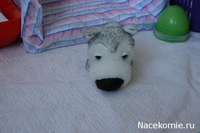 The Dog Collection 2010 - График Выхода и обсуждение