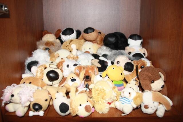 The Dog Collection 2010 - График Выхода и обсуждение