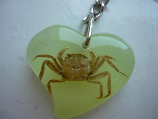 Насекомые в Акриле НЕ из Журнала