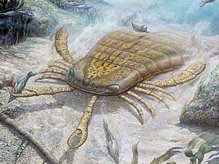 Какие насекомые вам противны?