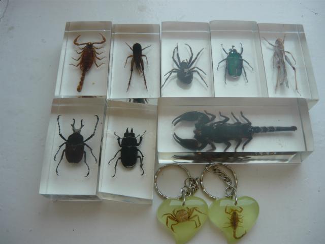 Насекомые и их знакомые 2010 График Выхода и обсуждение