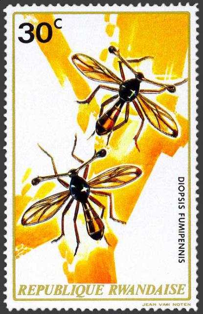 Фото насекомых (не из журнала)