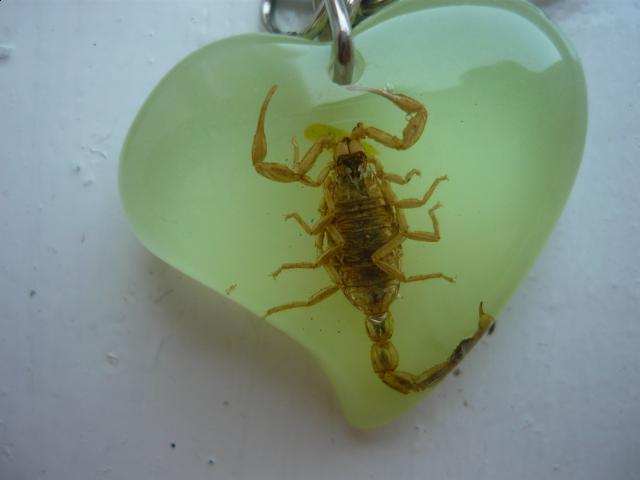 Насекомые в Акриле НЕ из Журнала