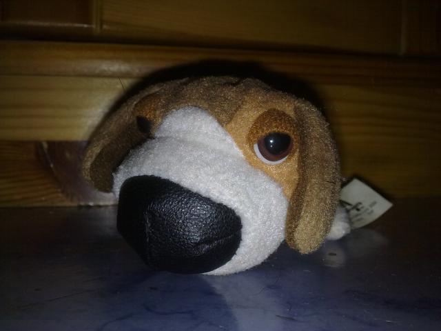 The Dog Collection 2010 - График Выхода и обсуждение