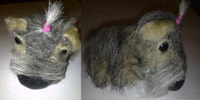 The Dog Collection 2010 - График Выхода и обсуждение