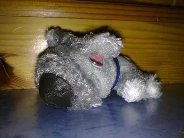 The Dog Collection 2010 - График Выхода и обсуждение