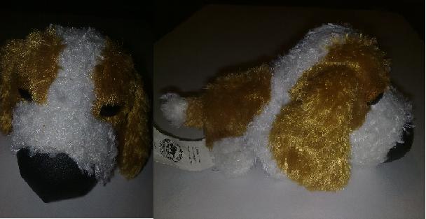 The Dog Collection 2010 - График Выхода и обсуждение