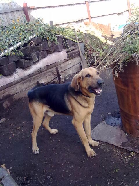 Гриш@™