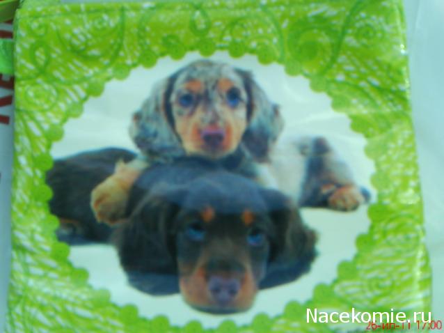 The Dog Collection 2010 - График Выхода и обсуждение