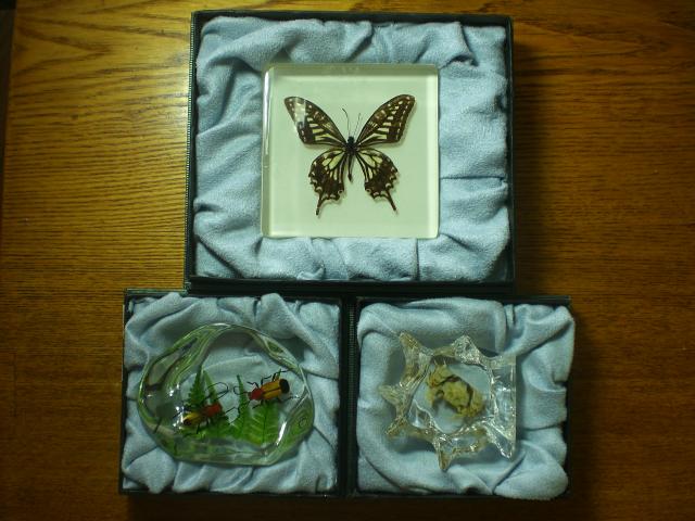 Насекомые в Акриле НЕ из Журнала