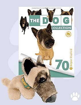 The Dog Collection 2010 - График Выхода и обсуждение
