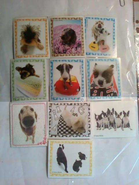 The Dog Collection и не только...