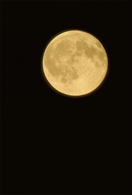 Болталка (часть 2)