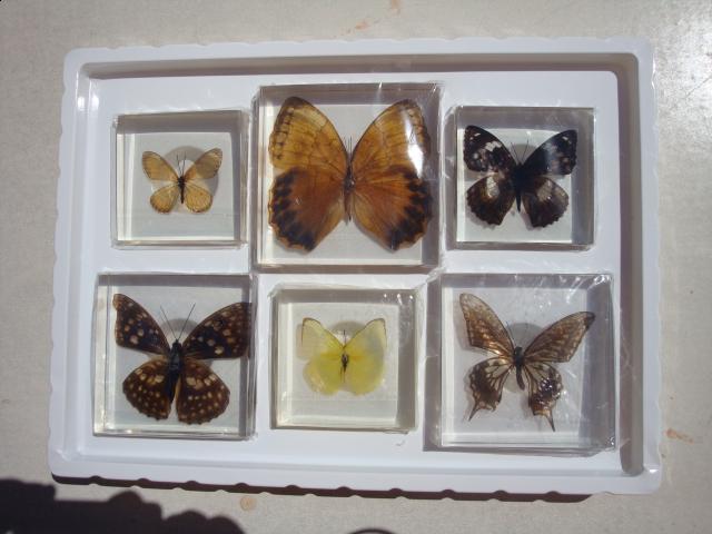 Серии партворков в Других Странах