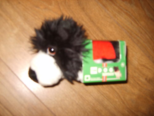 The Dog Collection 2010 - График Выхода и обсуждение