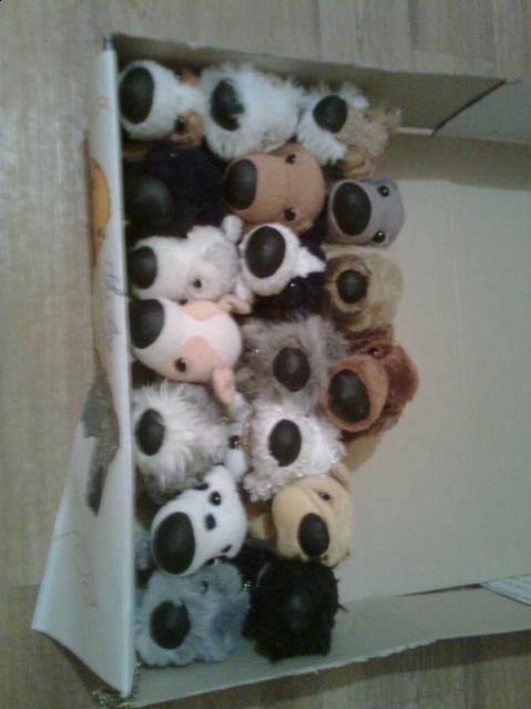 The Dog Collection 2010 - График Выхода и обсуждение