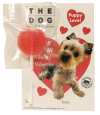 The Dog Collection 2010 - График Выхода и обсуждение