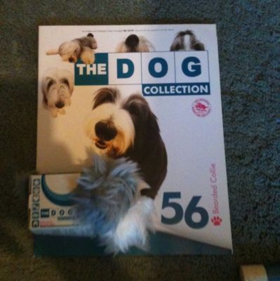 The Dog Collection 2010 - График Выхода и обсуждение