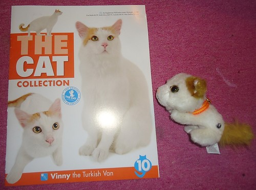 The Cat Collection График Выхода, обсуждение серии