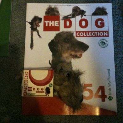 The Dog Collection 2010 - График Выхода и обсуждение