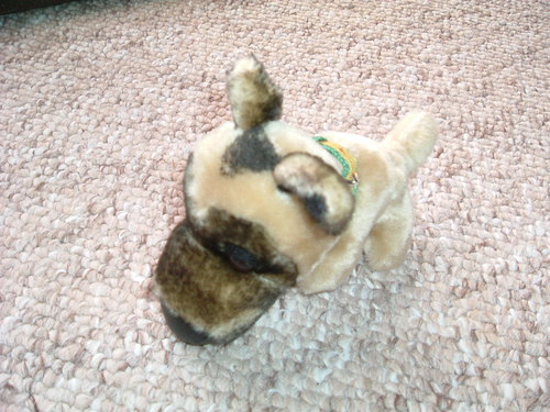 The Dog Collection 2010 - График Выхода и обсуждение