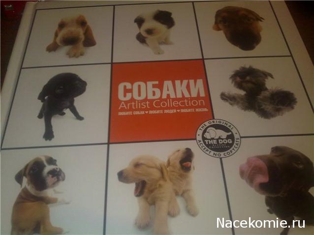 The Dog Collection и не только...