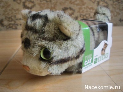 The Cat Collection График Выхода, обсуждение серии