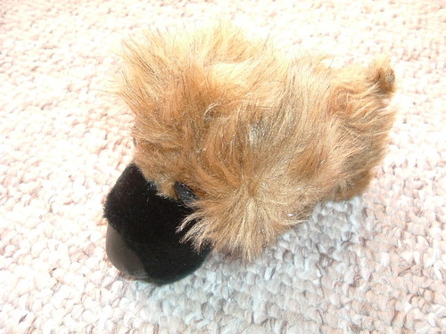 The Dog Collection 2010 - График Выхода и обсуждение