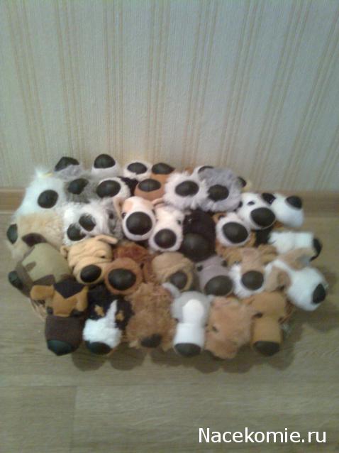 The Dog Collection 2010 - График Выхода и обсуждение