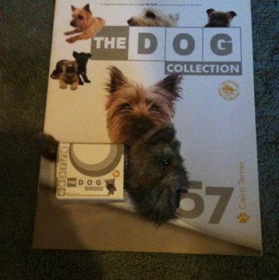 The Dog Collection 2010 - График Выхода и обсуждение