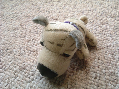 The Dog Collection 2010 - График Выхода и обсуждение