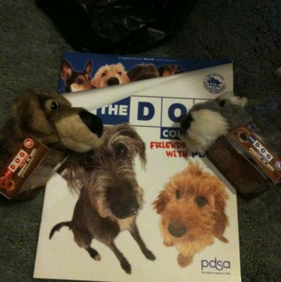 The Dog Collection 2010 - График Выхода и обсуждение