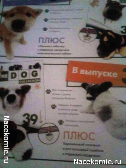 The Dog Collection 2010 - График Выхода и обсуждение