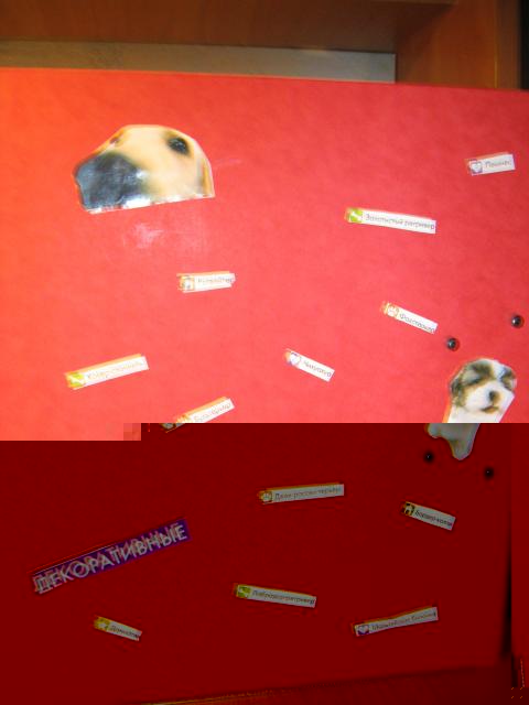 The Dog Collection 2010 - График Выхода и обсуждение