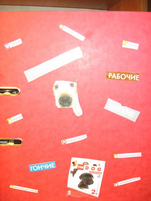 The Dog Collection 2010 - График Выхода и обсуждение