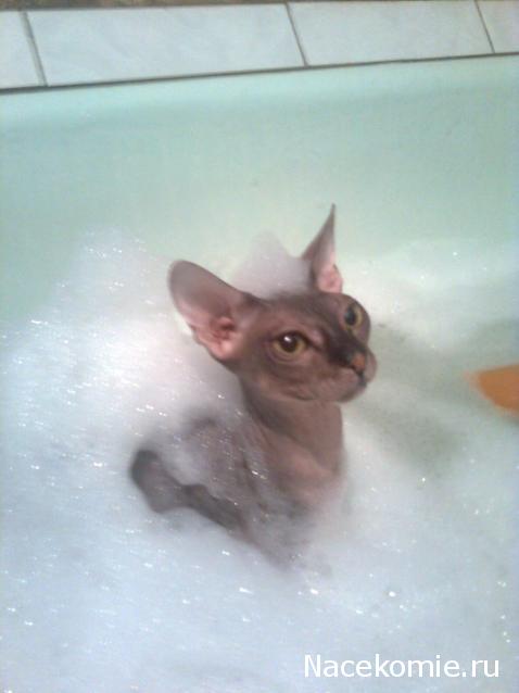 Болталка (часть 2)