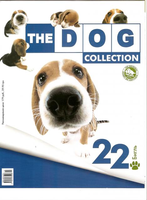 The Dog Collection №22 Бигль