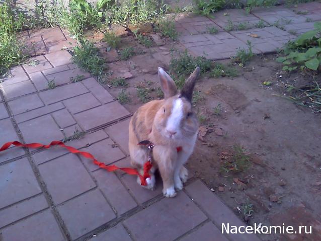 Болталка (часть 2)