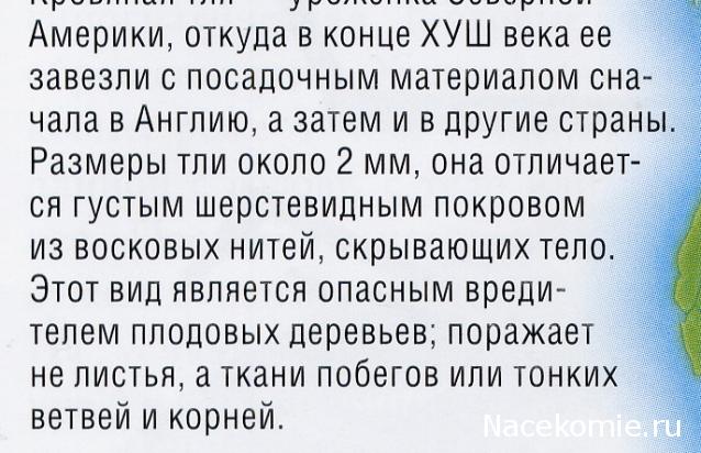Насекомые и их знакомые 2010 График Выхода и обсуждение