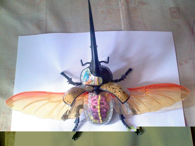 Самостоятельное коллекционирование насекомых