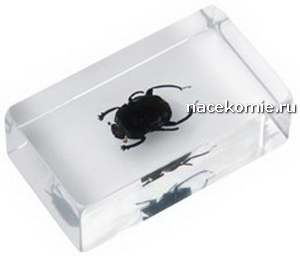 Насекомые и их знакомые 2010 График Выхода и обсуждение