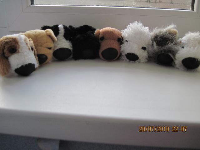 The Dog Collection 2010 - График Выхода и обсуждение