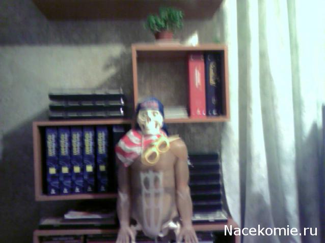 "Собери и познай человеческое тело" (сборка скелета)