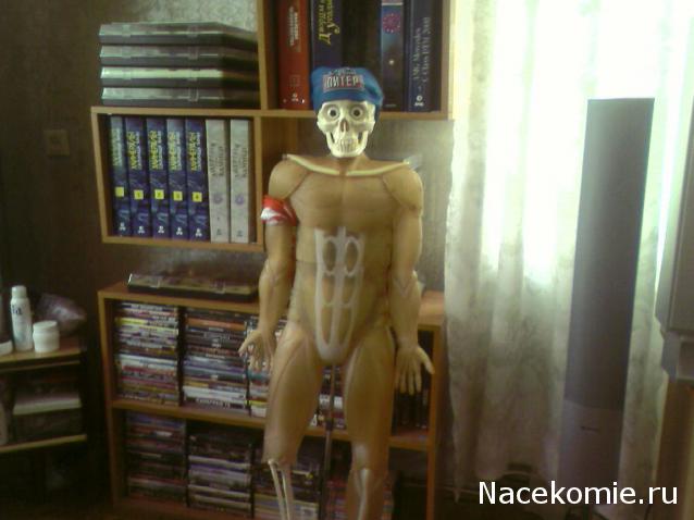 "Собери и познай человеческое тело" (сборка скелета)